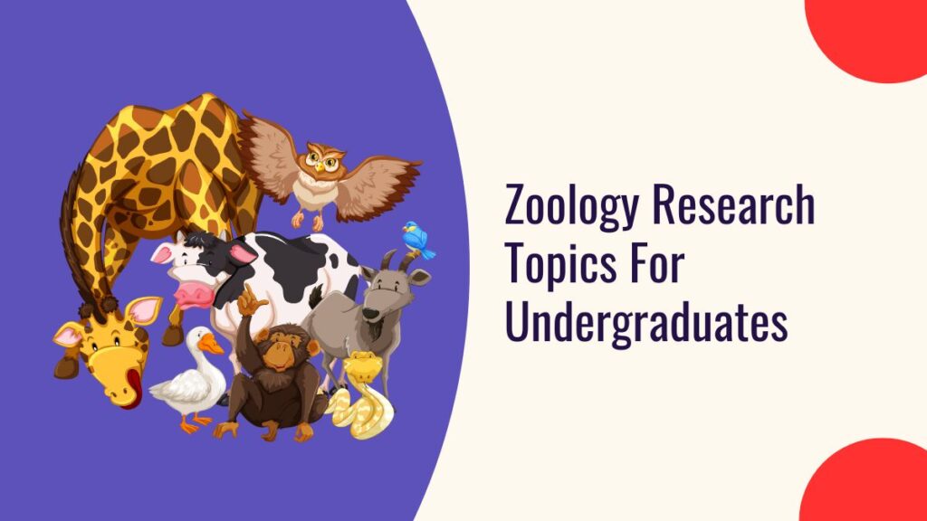 Zoology Research Topics For Undergraduates